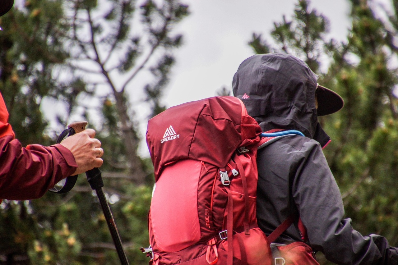 découvrez tous nos conseils et itinéraires pour la randonnée : équipements indispensables, astuces pour débutants et passionnés, et les plus beaux sentiers à explorer en pleine nature.