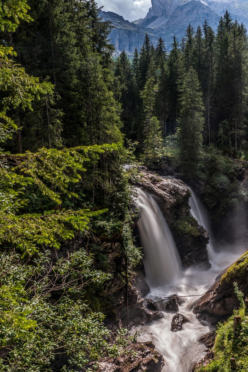 découvrez les plus belles cascades du monde, leurs paysages époustouflants et des conseils pour les explorer. plongez dans l'univers fascinant des waterfalls !