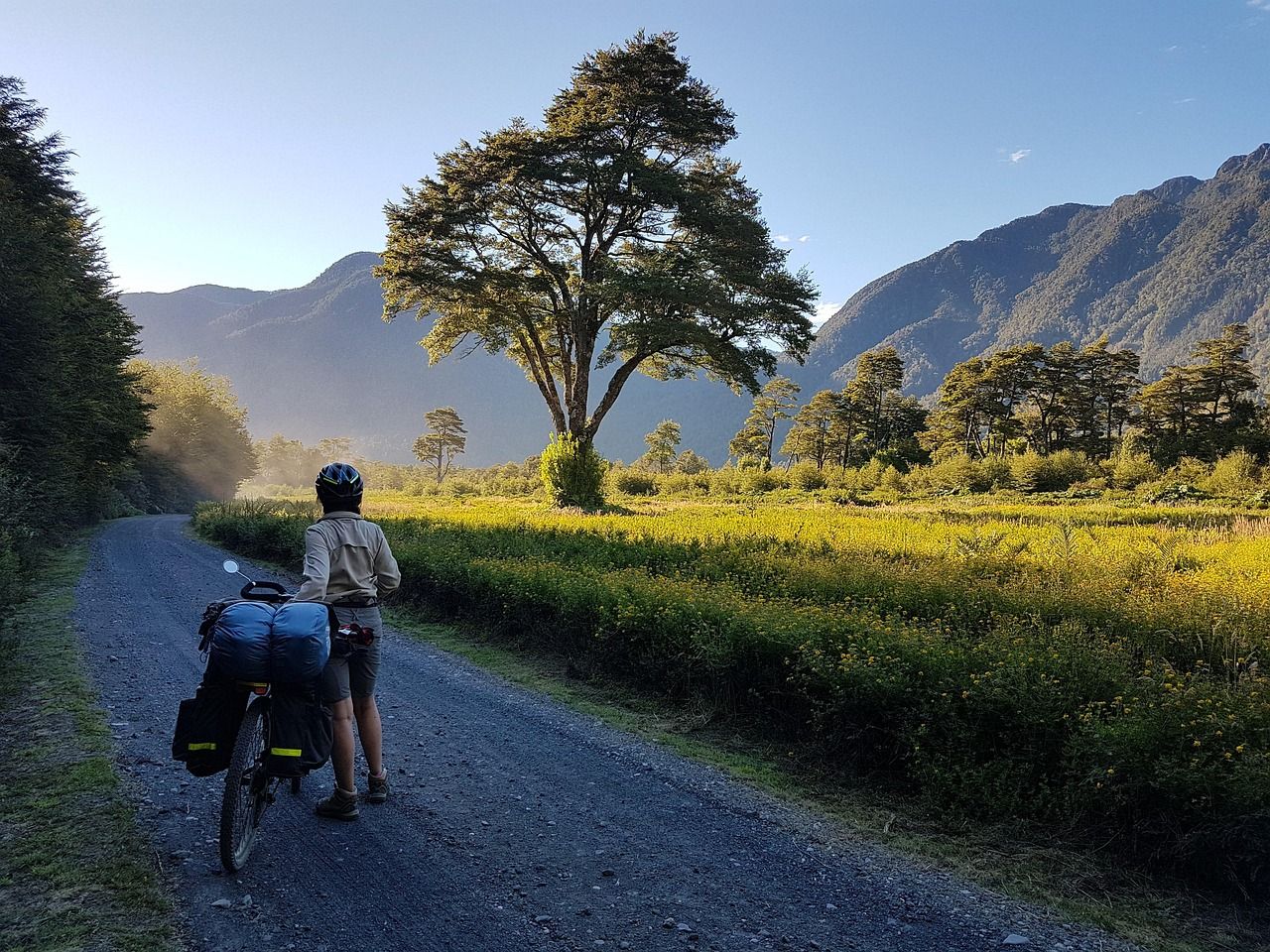 découvrez le vtt : conseils, techniques, équipements et parcours pour tous les passionnés de mountain biking, du débutant à l'expert. profitez de l'aventure en pleine nature !