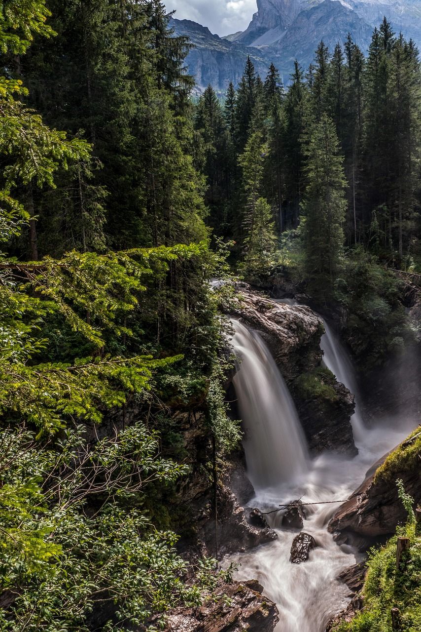 découvrez les plus belles cascades du monde, leurs paysages époustouflants et des conseils pour les explorer. plongez dans l'univers fascinant des waterfalls !
