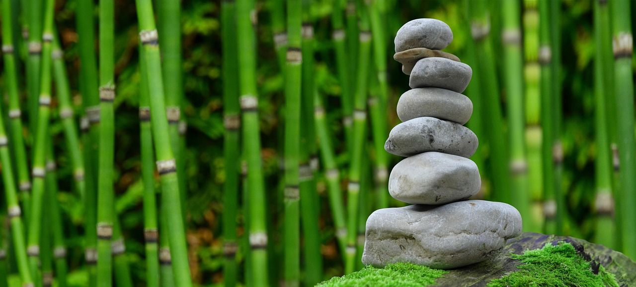 découvrez nos conseils et astuces pour améliorer votre bien-être physique et mental. trouvez des routines de santé, des pratiques de relaxation et des solutions naturelles pour une vie plus saine et équilibrée.