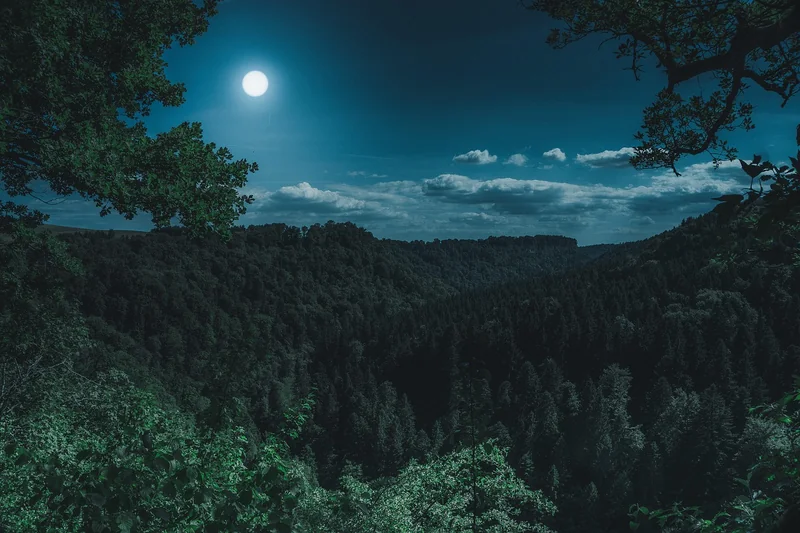 Que faire et voir dans la Forêt-Noire ?