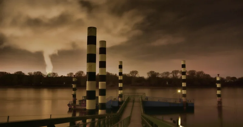 Une histoire de pollution, de renaissance et de silures géants