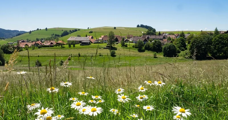 Les plus beaux villages de la Forêt-Noire en Allemagne