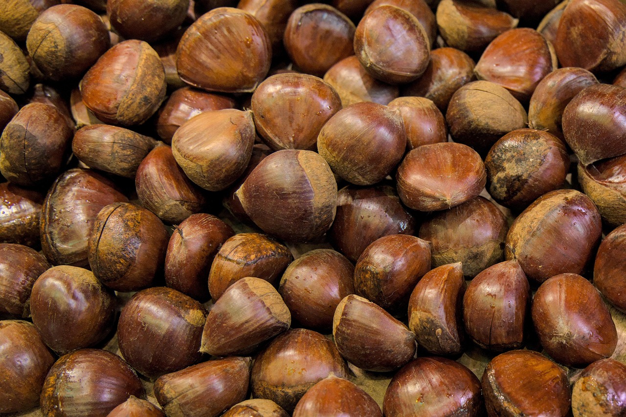 découvrez la châtaigne : ses bienfaits nutritionnels, ses utilisations en cuisine et ses origines. apprenez comment choisir et préparer ce fruit savoureux, parfait pour l'automne !