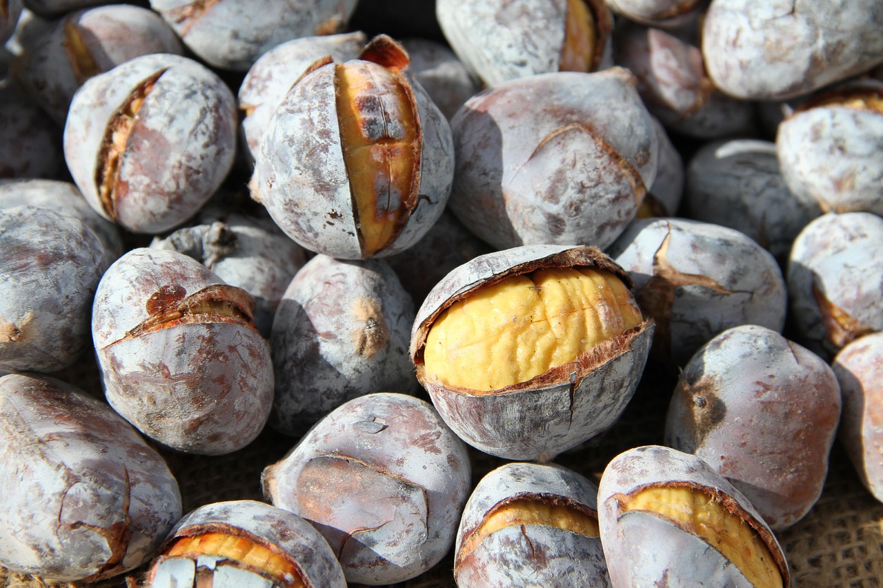 découvrez tout sur la châtaigne : origines, bienfaits nutritionnels, idées de recettes et astuces pour bien la choisir et la préparer. un incontournable de l’automne à savourer sous toutes ses formes !