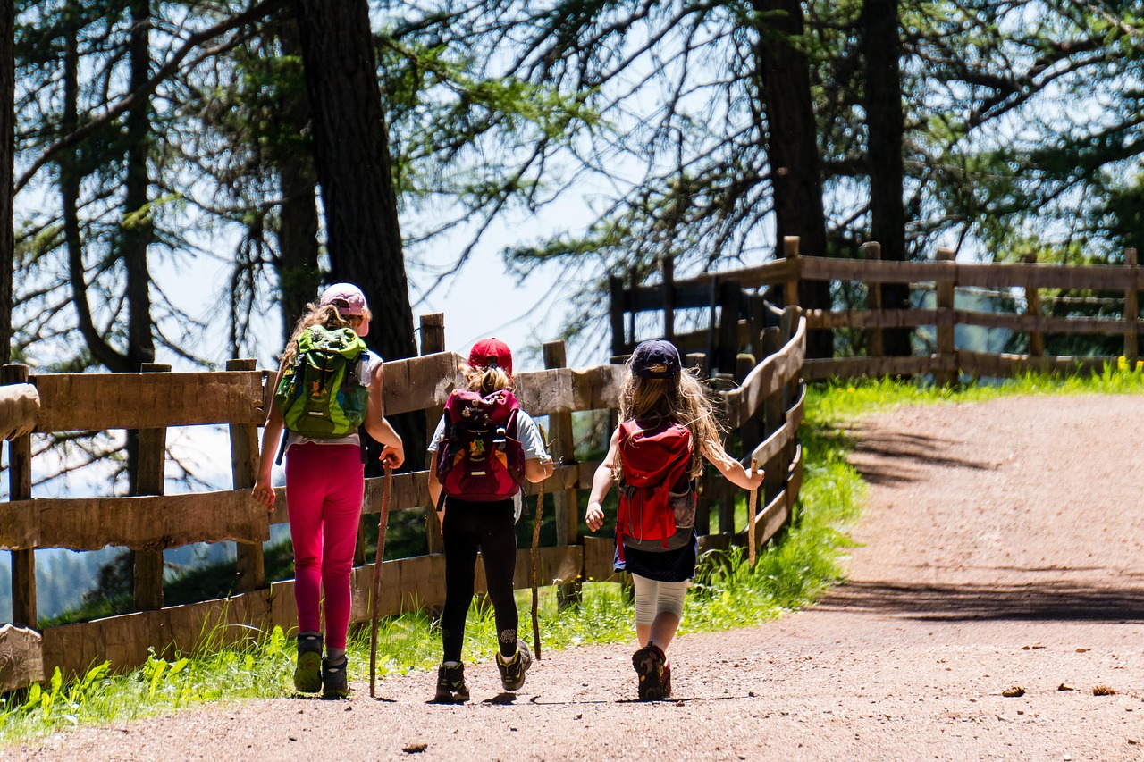 découvrez les meilleurs conseils, itinéraires et équipements pour la randonnée. profitez pleinement de vos aventures en plein air grâce à notre guide complet sur le hiking !